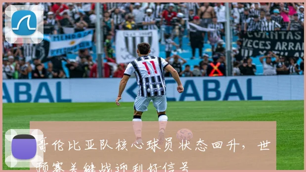 哥伦比亚队核心球员状态回升，世预赛关键战迎利好信号